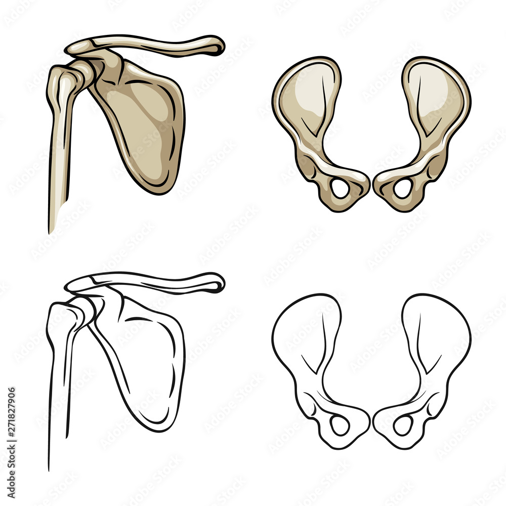 Isolated object of medicine and clinic symbol. Collection of medicine and medical stock symbol for web. Isolated object of medicine and clinic symbol. Collection of medicine and medical stock symbol for web.