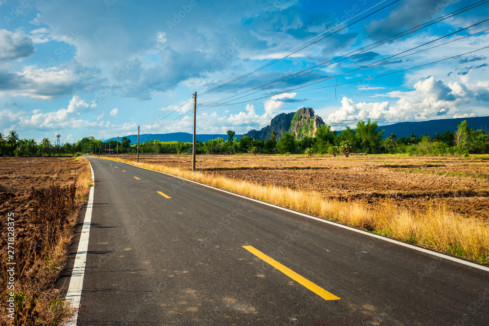 Fototapeta premium Asphalt Road Through the Plough Land
