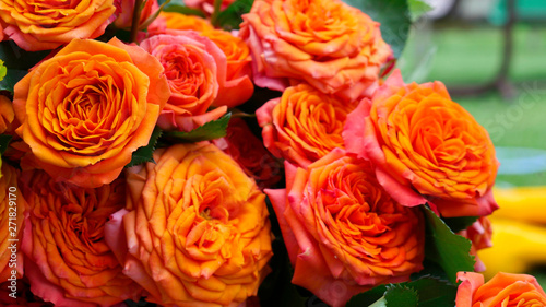 Background of orange and peach roses.