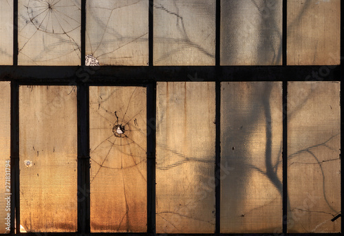 Cracked armed and stained glass panes with a few holes, at sunset. Silhouettes of bare trees in winter behind the glass. Mystery, haunted, ghost house concept. photo