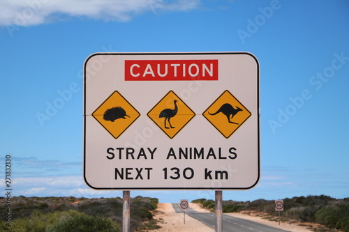 Stray animals next 130 km, Western Australia