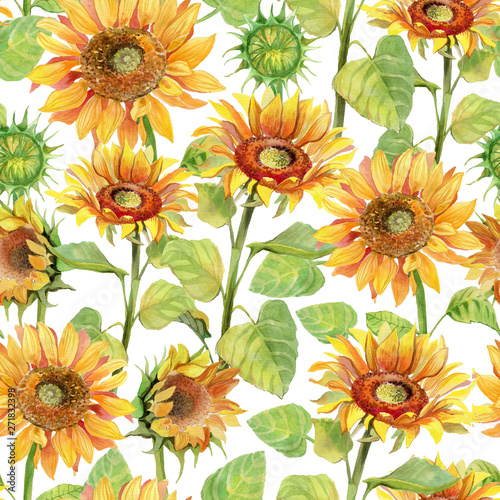 Sunflower seamless pattern watercolor. Summer flower bright colorful pattern on white. © 1purple