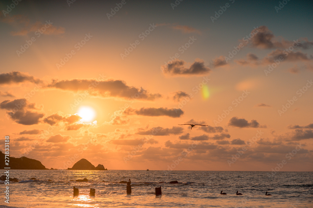 Silhouette of seagulls resting on the remains of a pier on the beach.