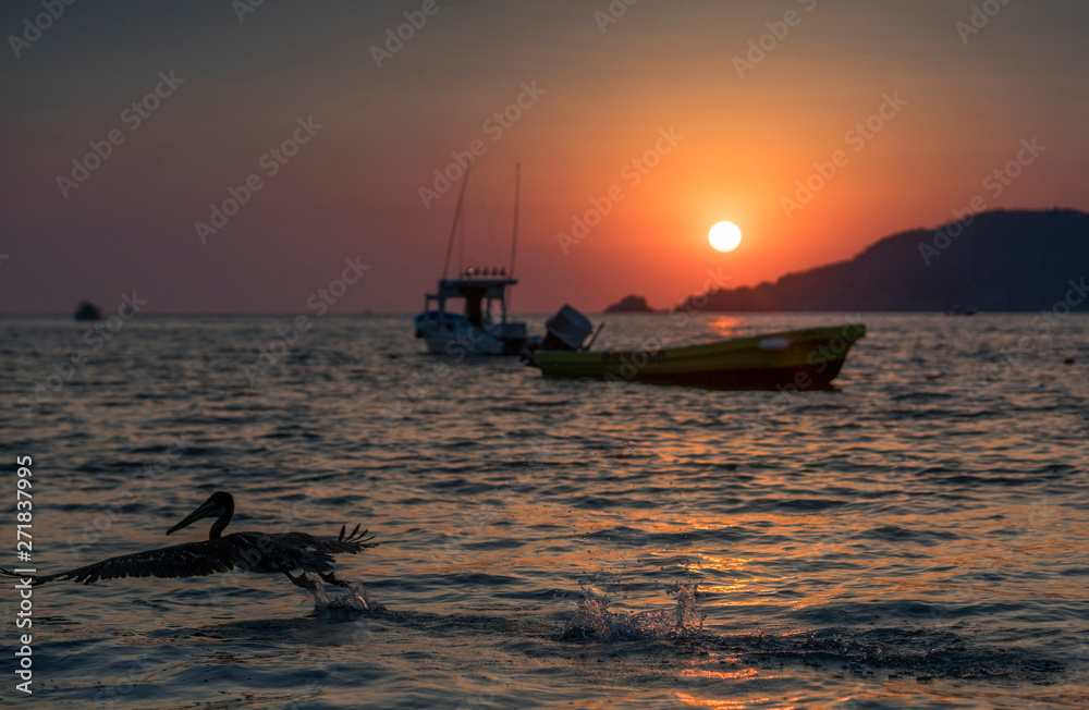 Seagull feeds on the beach with boats in the background and a beautiful sunset