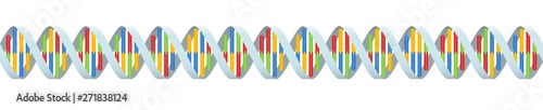 DNA coding strand with four colored base pairings. Seamless extendible double helix. Isolated vector illustration on white background.