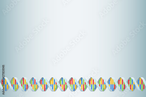 DNA double helix background with nucleobases adenine, cytosine, guanine and thymine in four different colors. Vector illustration.