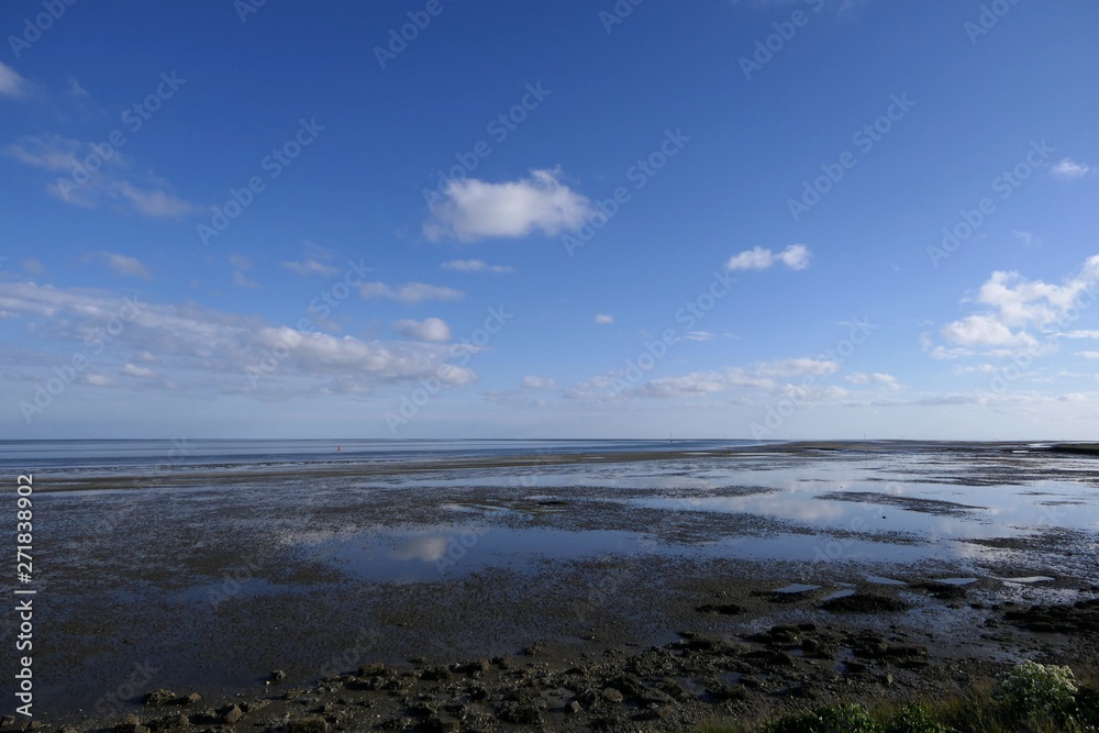 Landscape Wadden Sea, mudflats by low tide