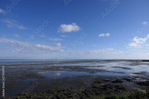 Landscape Wadden Sea  mudflats by low tide