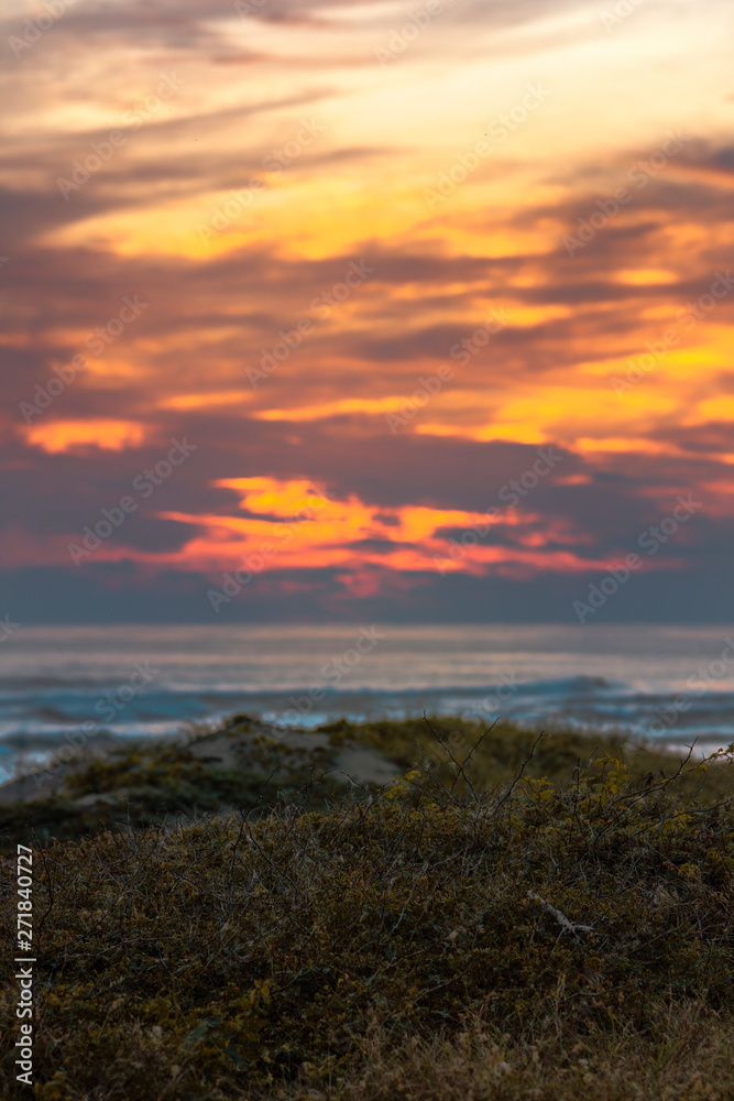 Fototapeta premium sunset in the sea