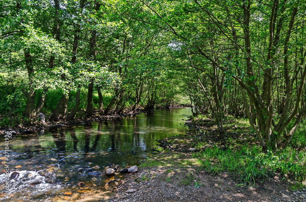 Мagnetic landscape of summer nature, green deciduous forest and river Iskar in the Lozen mountain, Bulgaria, Europe Мagnetic landscape of summer nature, green deciduous forest and river Iskar in the Lozen mountain, Bulgaria, Europe