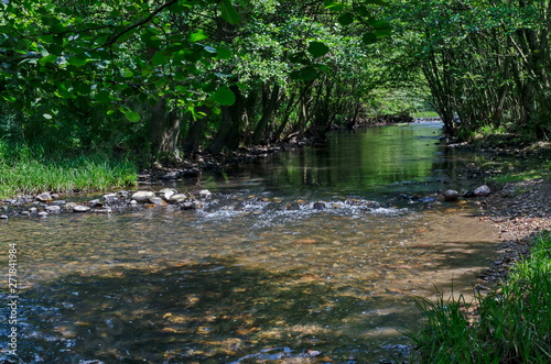   agnetic landscape of summer nature  green deciduous forest and river Iskar with small  waterfall in the Lozen mountain  Bulgaria  Europe  