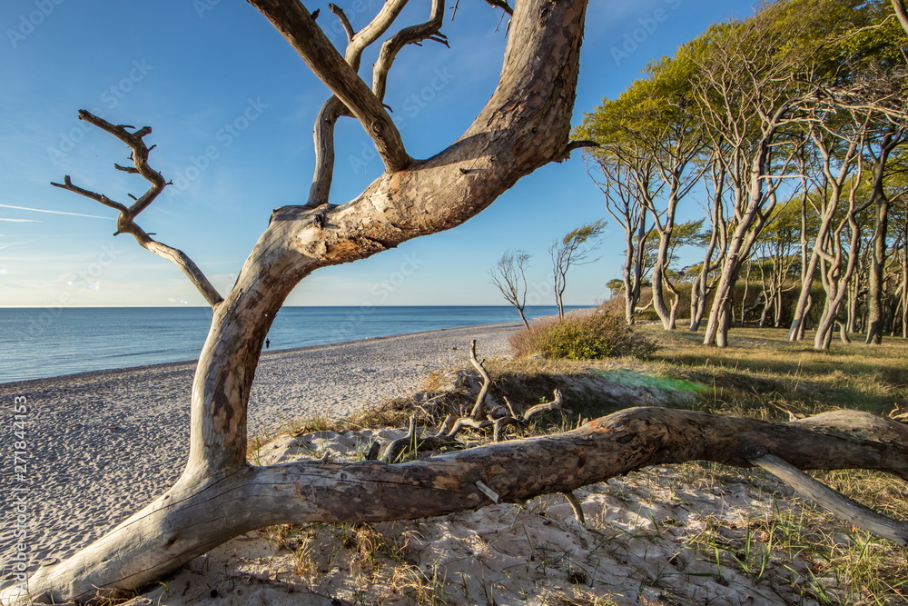 weststrand darß