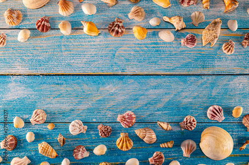 Fotografie, Obraz Summer time concept with sea shells on a blue wooden background and sand