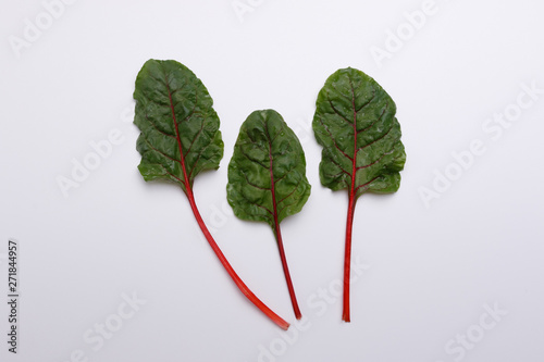 beetroot leaves isolated