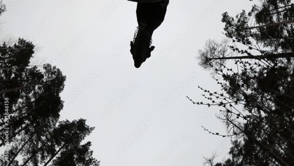 Dog Doberman fly bottom view Full HD Dog Doberman fly bottom view Full HD