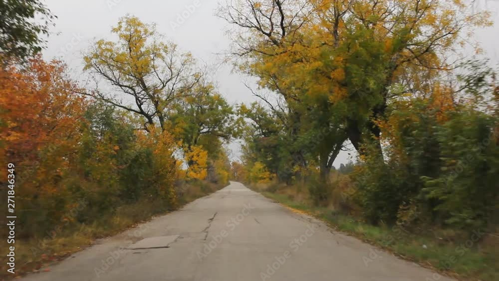 Front view car drive on country road during autumn