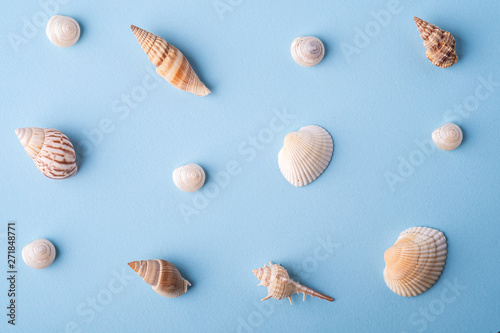 Summer texture pattern copy space spiral seashell top view blue background