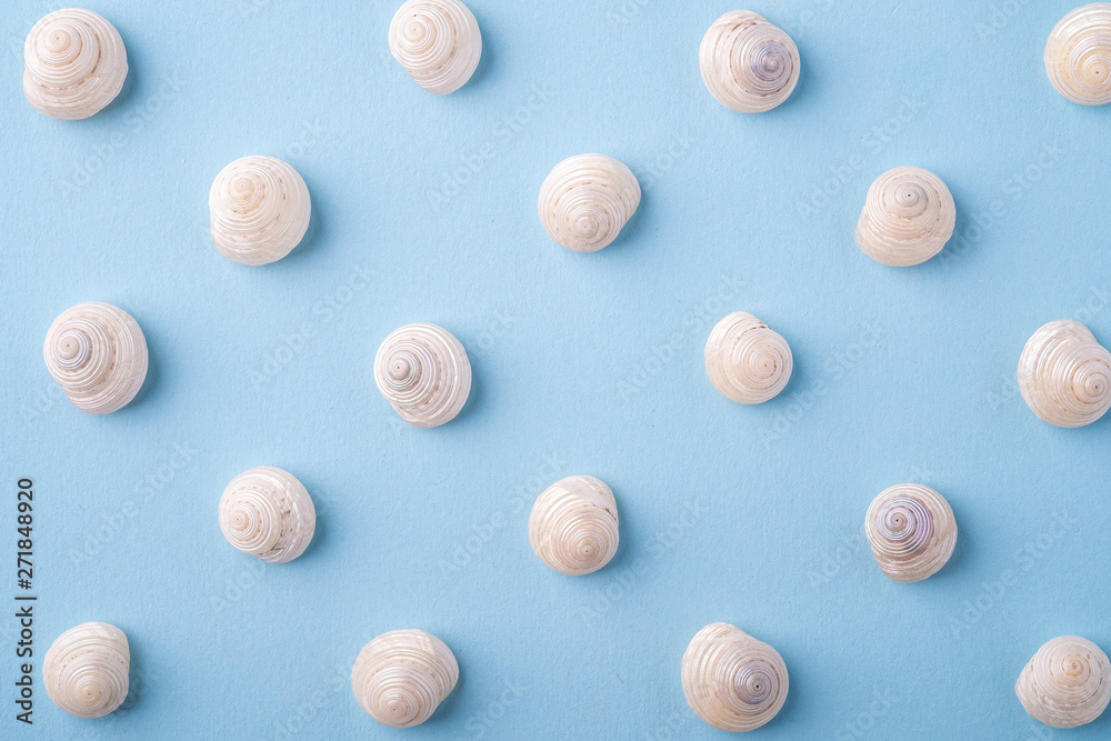 Summer texture pattern copy space seashell top view blue background