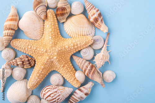 Summer texture copy space starfish seashell top view blue background