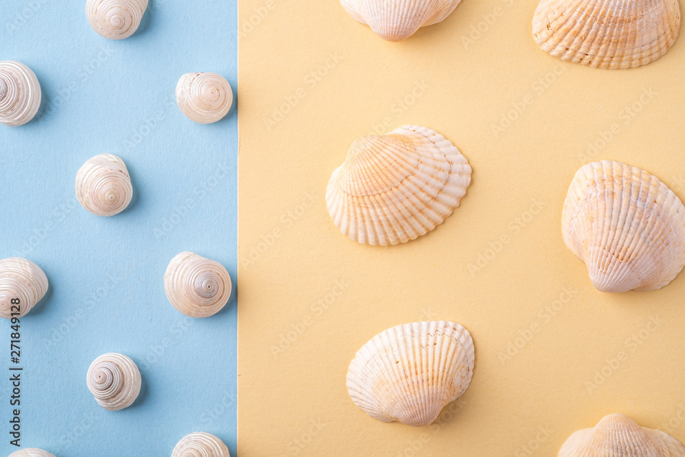 Summer texture pattern copy space seashell top view blue and yellow background