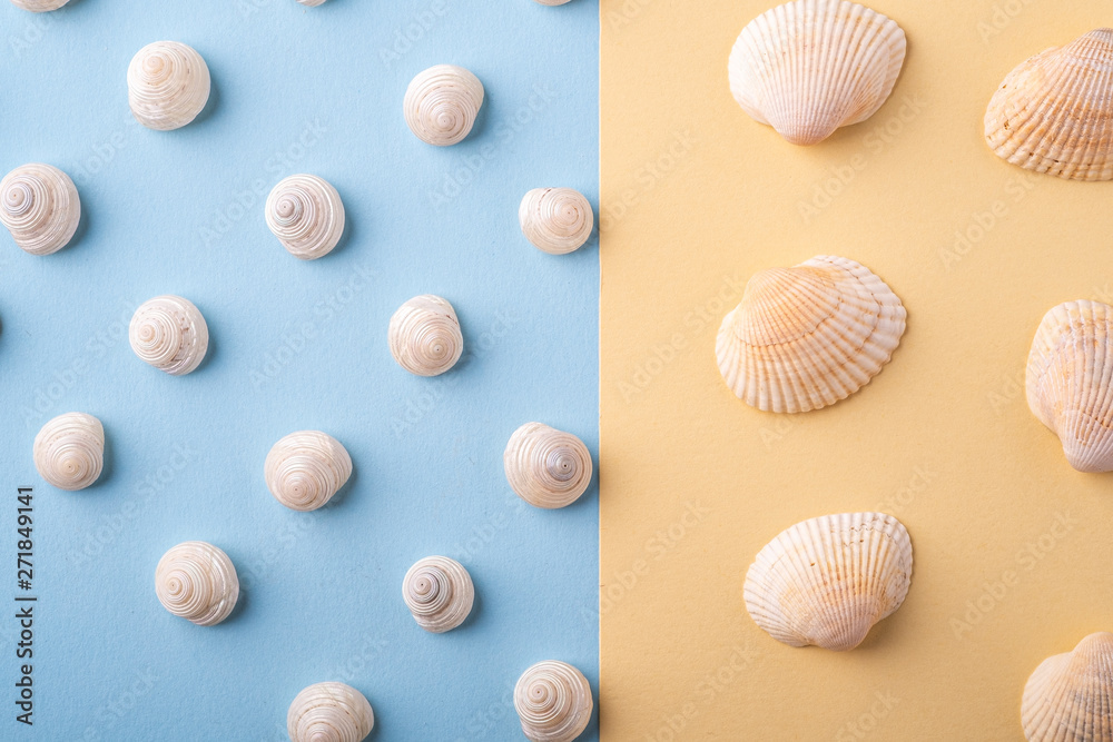 Summer texture pattern copy space seashell top view blue and yellow background