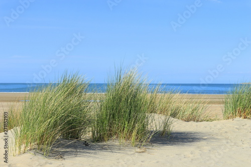 Dünen und Meer bei Renesse © Frofoto