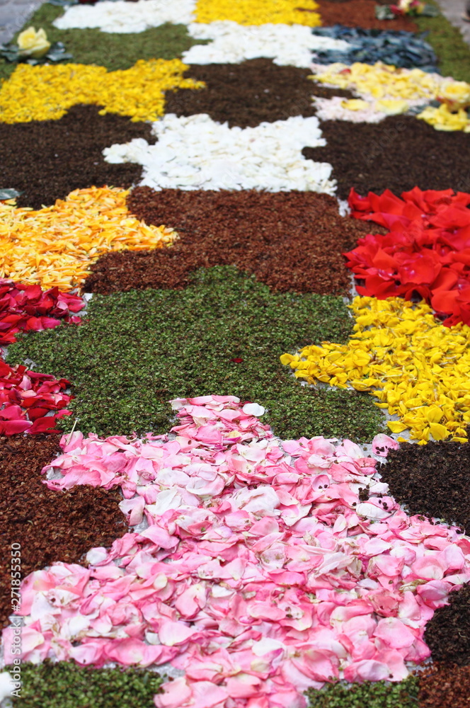 Multicolored floral carpet