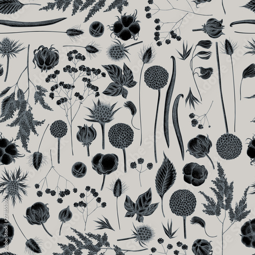Seamless pattern with hand drawn stylized astilbe, craspedia, blue eryngo, lagurus, cotton, gypsophila