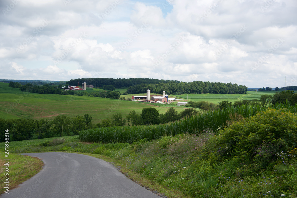 Farm lands 