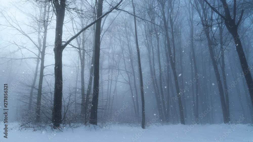 Beautiful cold winter season forest landscape with snow flakes. Beautiful cold winter season forest landscape with snow flakes.