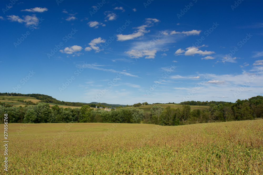 Farm field