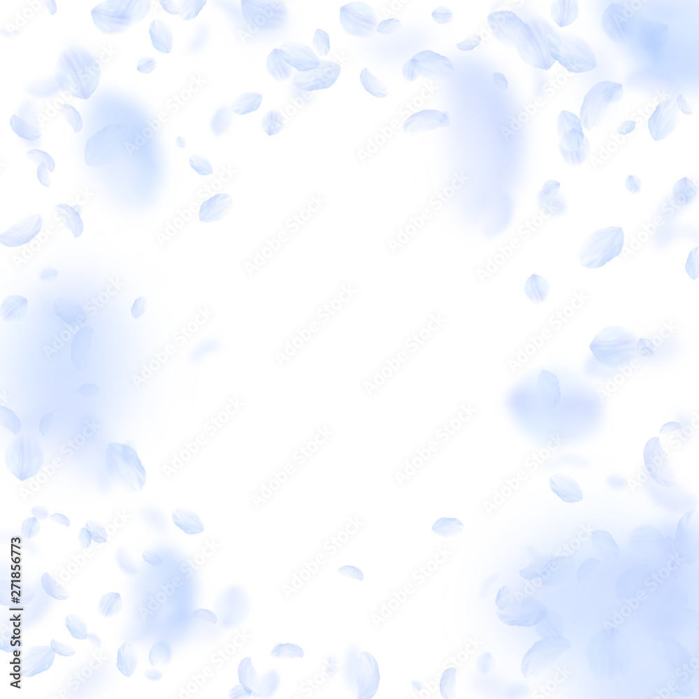 Light blue flower petals falling down. Cute romant Light blue flower petals falling down. Cute romant