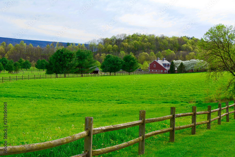 Sleepy farm Sleepy farm