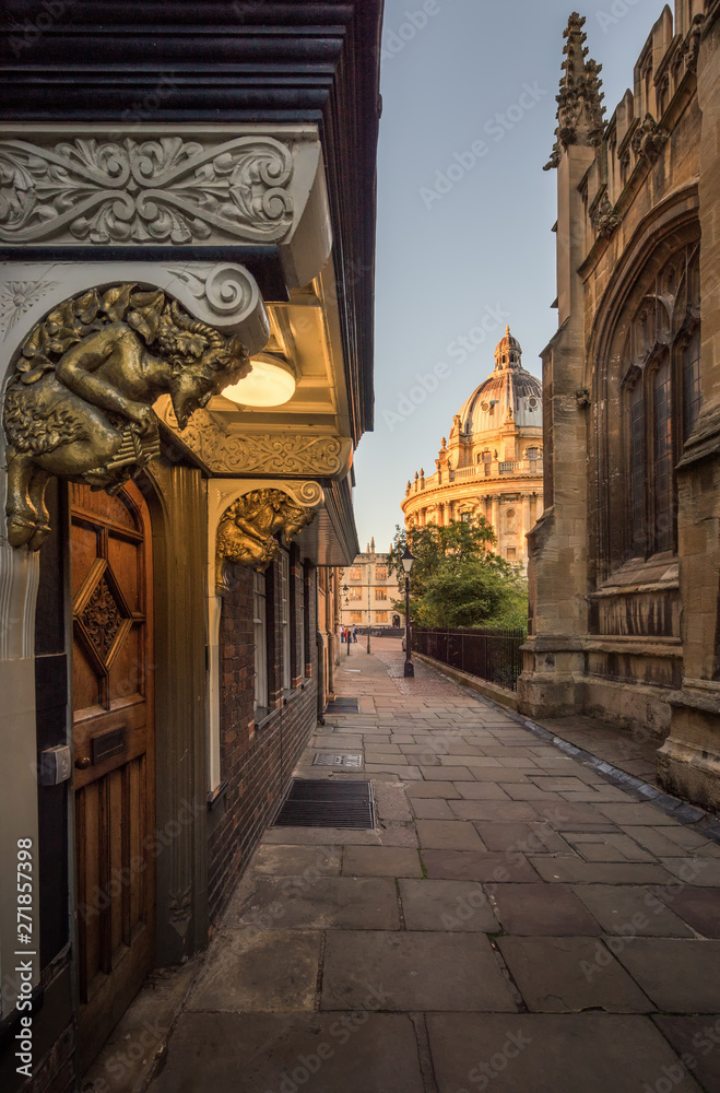 Radcliffe Camera, Bodleian Library, Oxford University, Oxford viewed with timber door and golden sculpture decoration  foreground