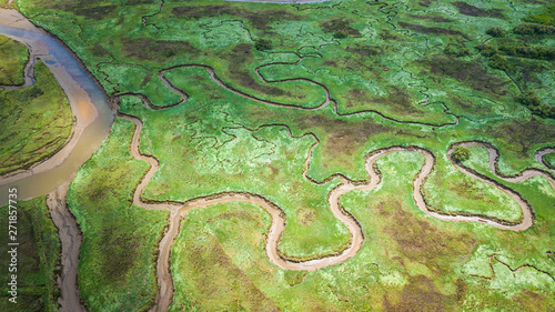 Obraz na plátně aerial view of serpentine marh
