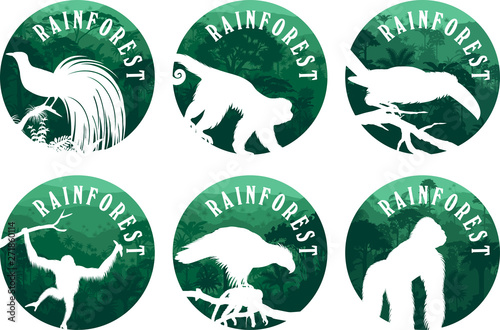 set of vector jungle rainforest emblems with orangutan, gorilla, lesser bird of paradise, philippine Eagle, channel-billed toucan and ape monkey capuchin