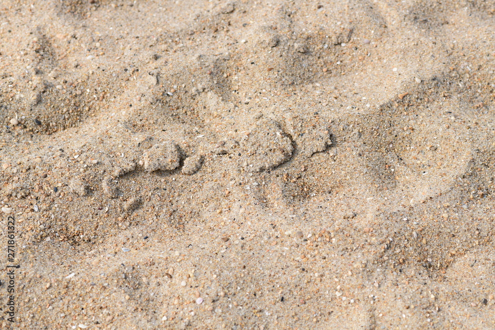 closeup on dry sand on a beach