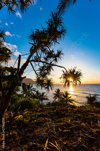 Sunset Princeville Hawaii Hanalei Bay with tropical plants Bali Hai mountain photo