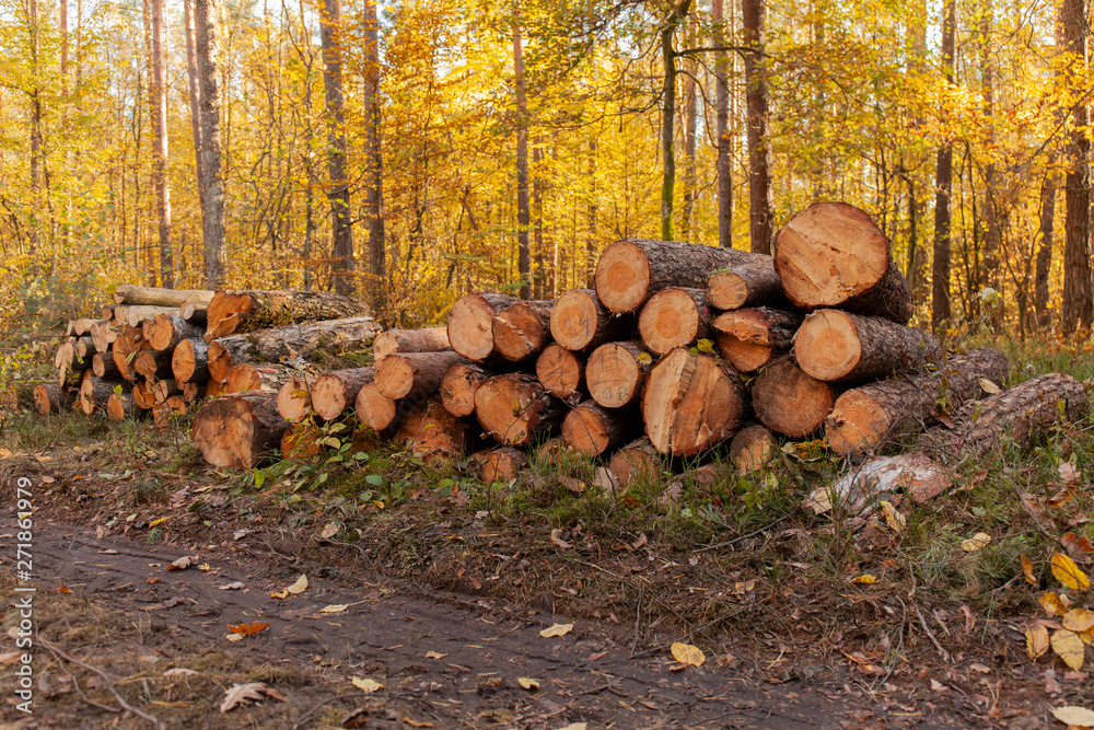 Brown cut logs sitting on the side of a road