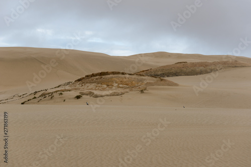 Te Paki sand dunes under an overcast sky. Northland, New Zealand.