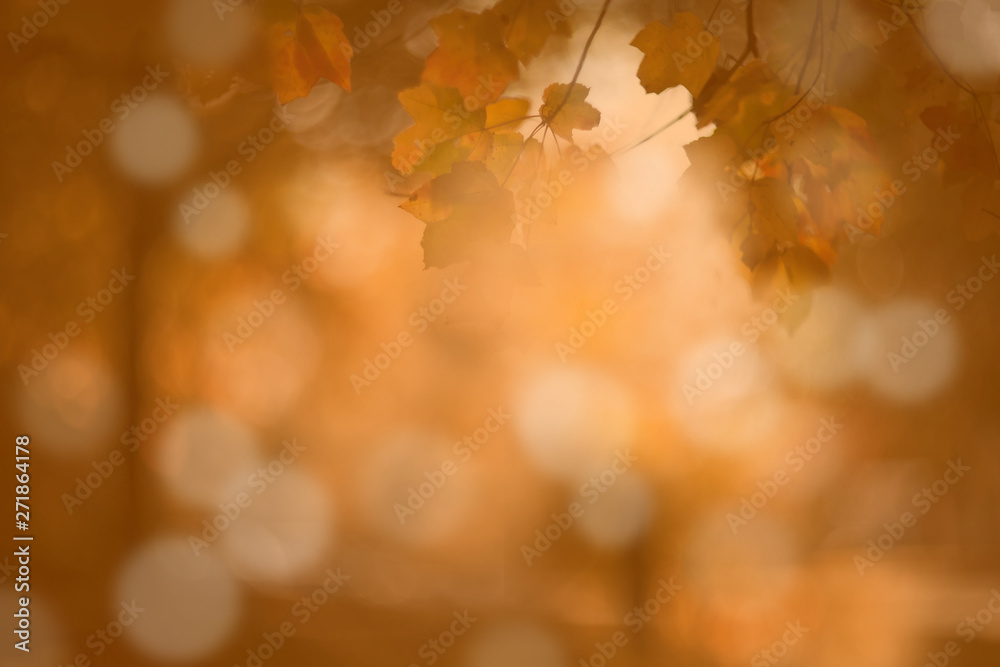 autumn abstruct background, bokeh effect, blur autumn abstruct background, bokeh effect, blur