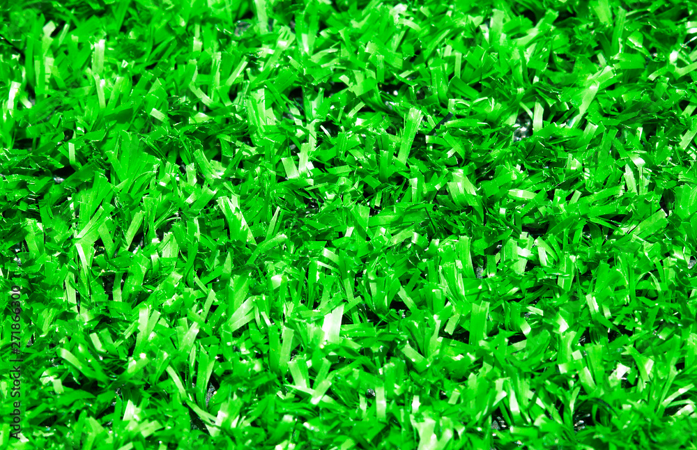 grass grass