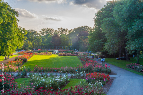 Photography Park of Roses, Columbus, Ohio