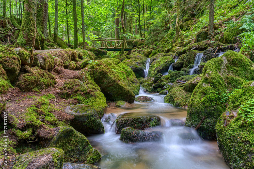 Wild romantic hiking trail along famous Gertelbach waterfalls, Black Forest, Germany Wild romantic hiking trail along famous Gertelbach waterfalls, Black Forest, Germany