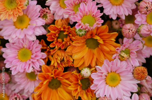 Colorful flowers chrysanthemum for background Abstract texture Soft and Blurred style.postcard.