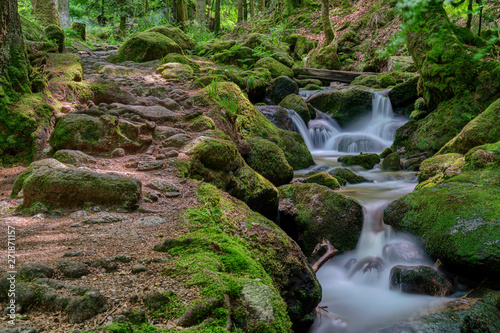 Wild romantic hiking trail along famous Gertelbach waterfalls  Black Forest  Germany