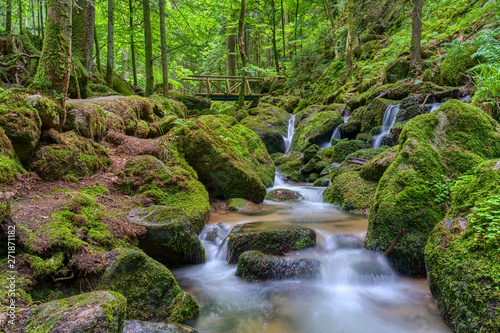 Wild romantic hiking trail along famous Gertelbach waterfalls  Black Forest  Germany