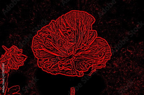 Red flower poppy in computer processing on a dark background.