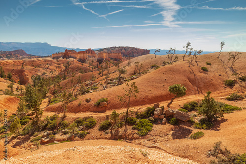 Bryce Canyon National Park  Utah  USA