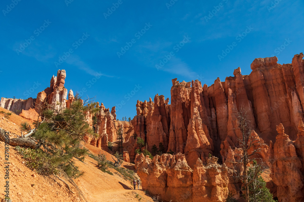 Bryce Canyon National Park, Utah, USA Bryce Canyon National Park, Utah, USA